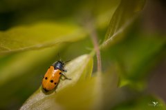O7A9280-Migliorato-NR-1-web