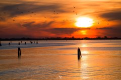 MG_6914-web